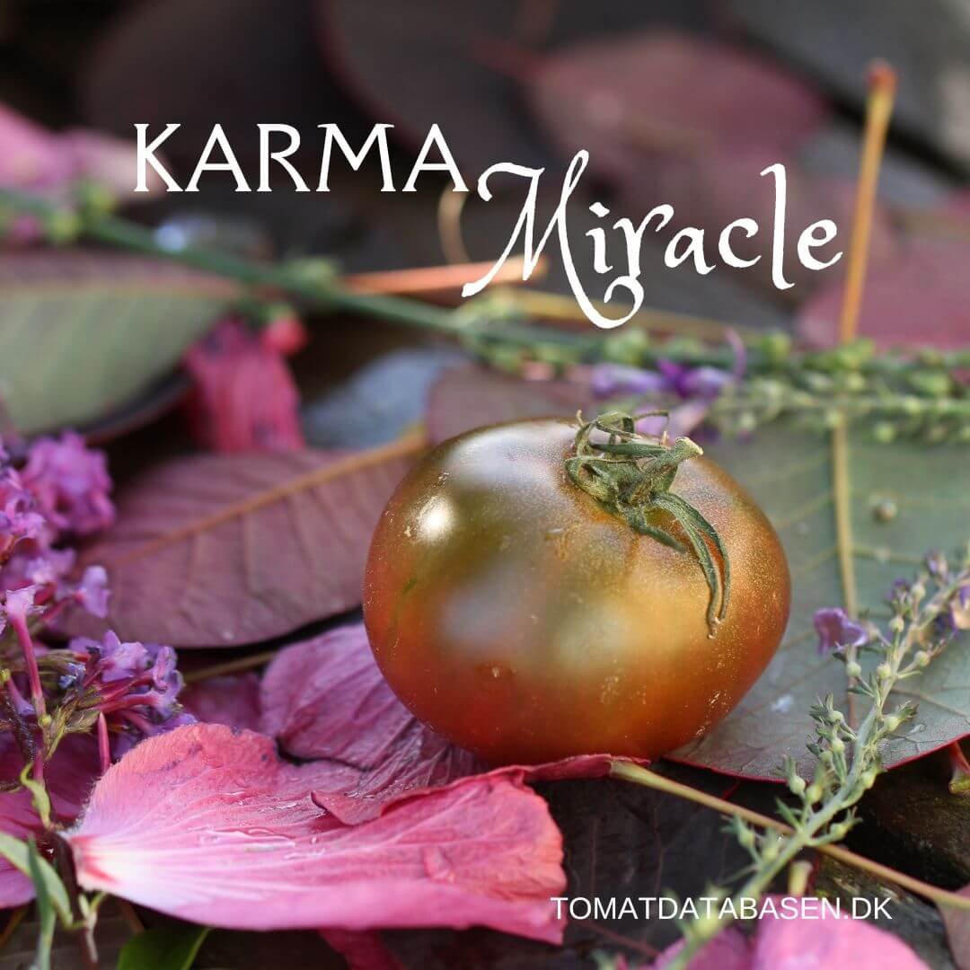 KARMA Miracle